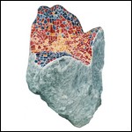 Reinhard Simbürger - Mosaike